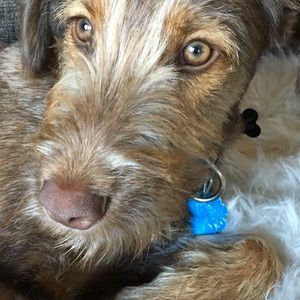 Meet your Posher, Treva